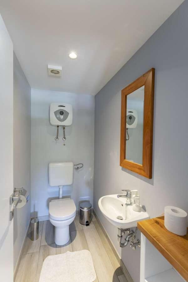 Villa Viscum In Central Istria For 8 Persons With Large Garden - Pet Friendly Pazin Exteriör bild